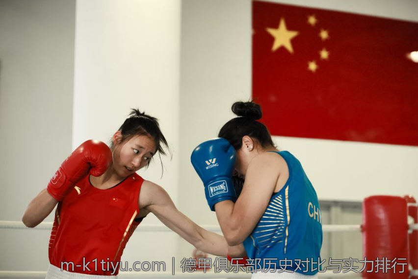 德甲俱乐部历史对比与实力排行