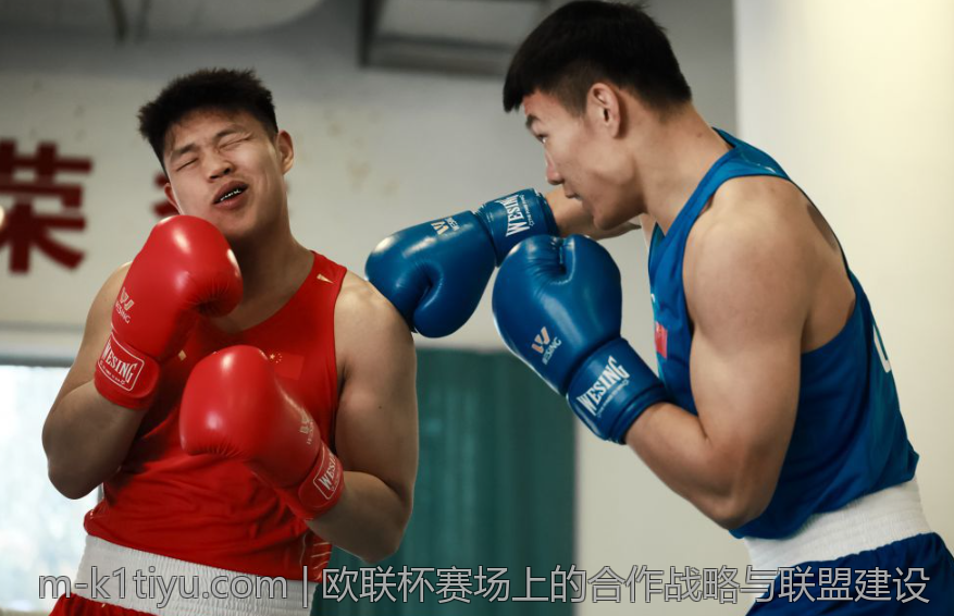 欧联杯赛场上的合作战略与联盟建设